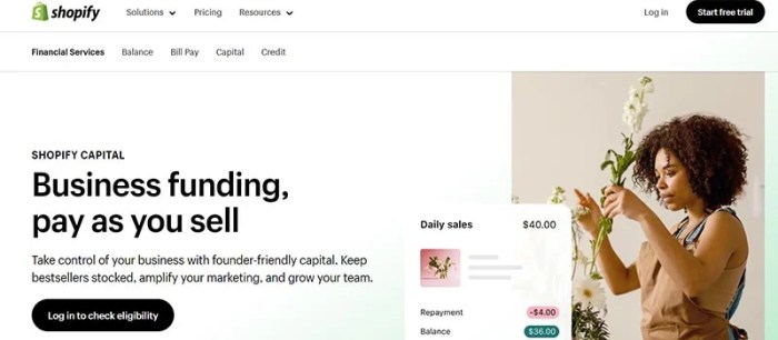7 Best Platforms to Access Ecommerce Business Loans - Unlimited Graphic ...