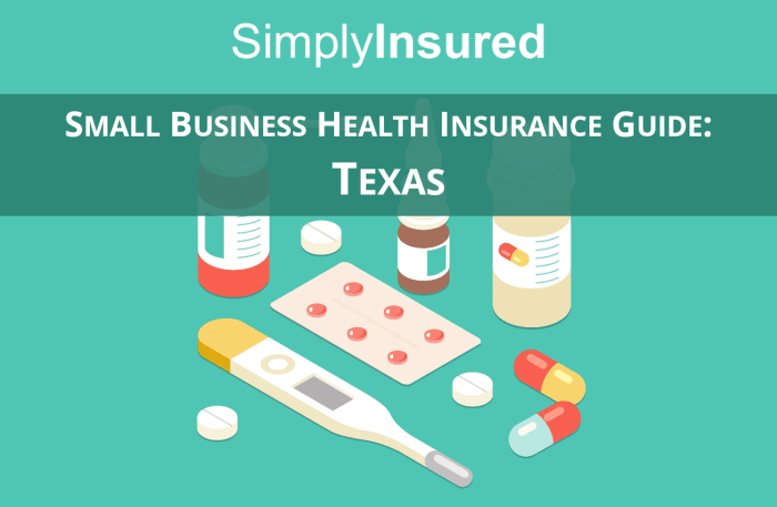 Texas Small Business Health Insurance Guide - Advice Blog