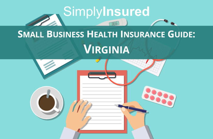 Virginia Small Business Health Insurance Guide - Advice Blog