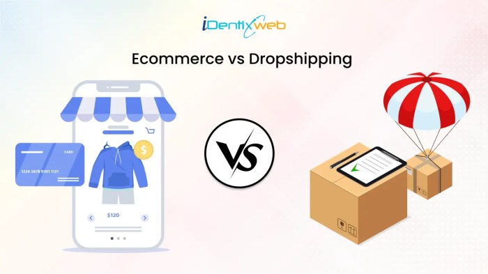Ecommerce vs Dropshipping: Comparison, Pros and Cons