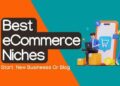 51+ Most Profitable Ecommerce Niches With Evergreen Potential - BLOGGER ...