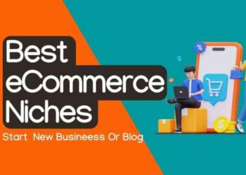 51+ Most Profitable Ecommerce Niches With Evergreen Potential - BLOGGER ...