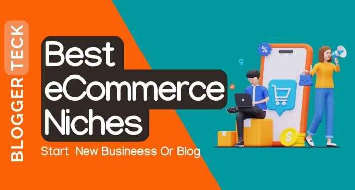51+ Most Profitable Ecommerce Niches With Evergreen Potential - BLOGGER ...