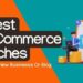 51+ Most Profitable Ecommerce Niches With Evergreen Potential - BLOGGER ...
