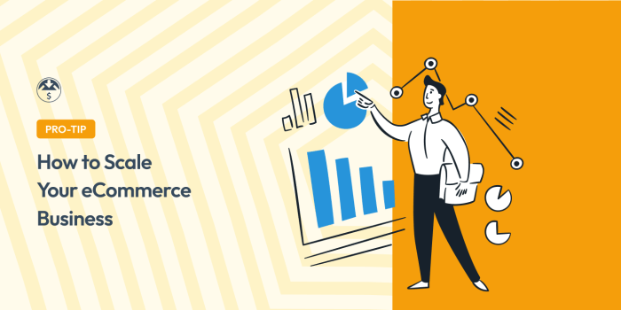 How to Scale Your eCommerce Business in WordPress